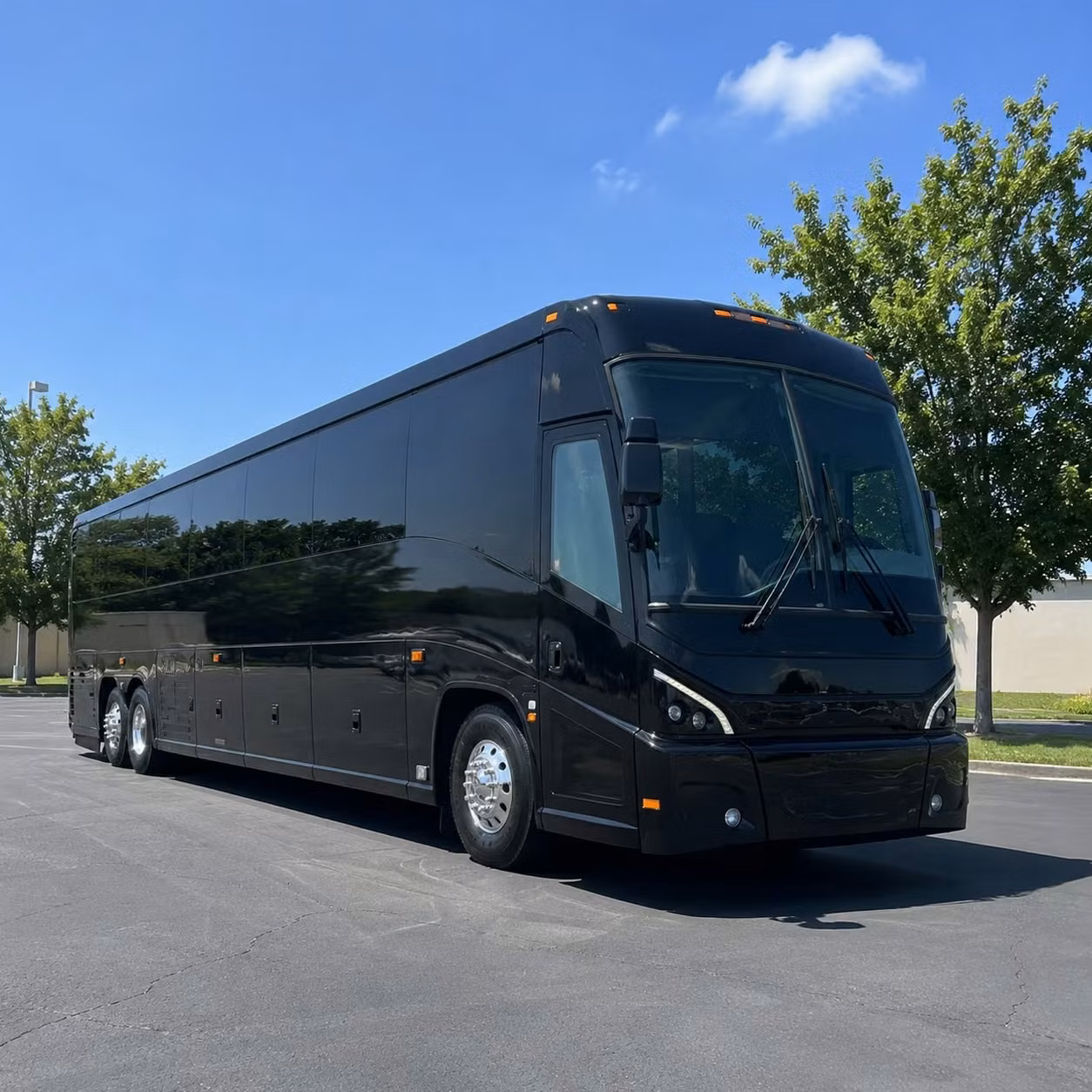 ada accessible and specialized government transportation options in concord