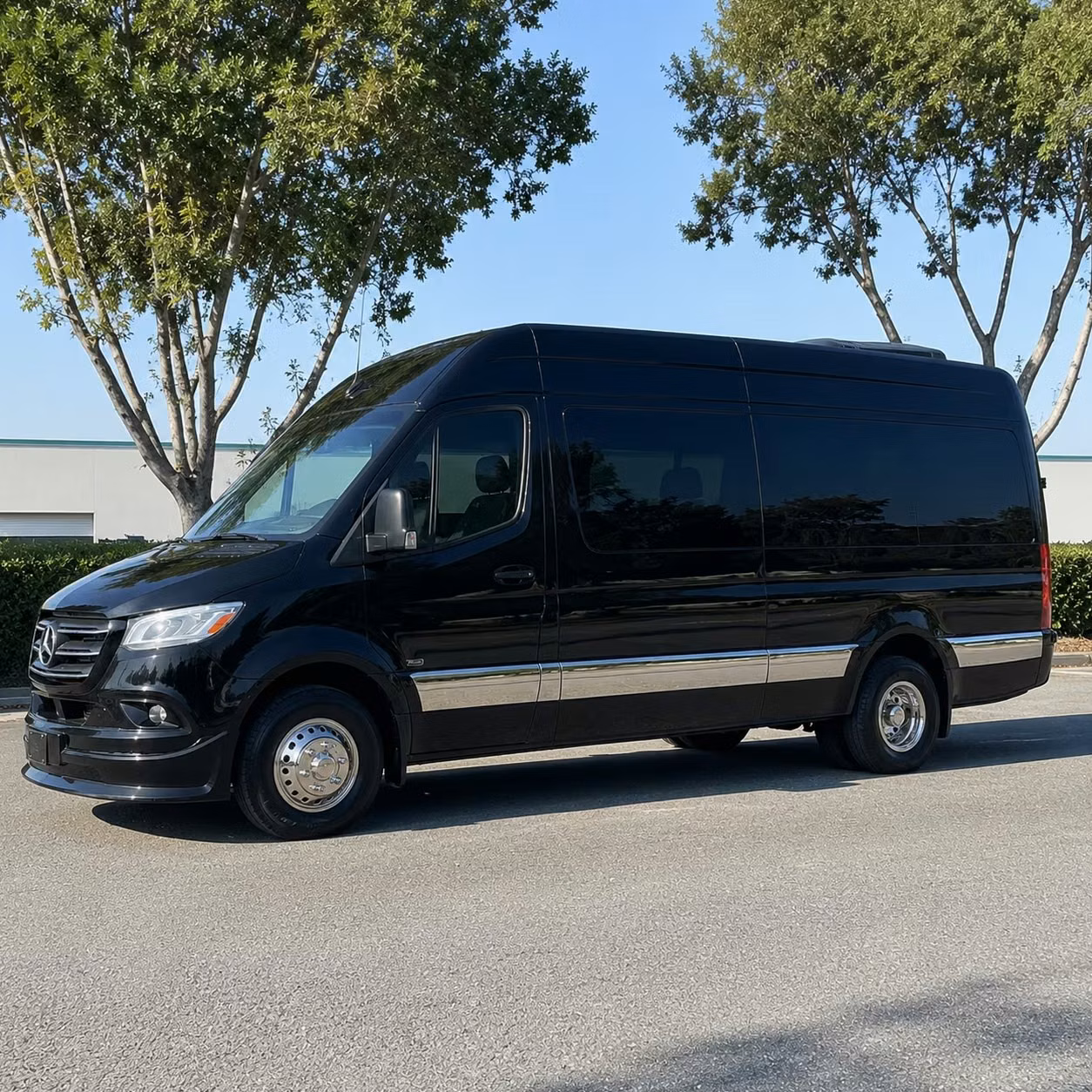 sprinter van with driver